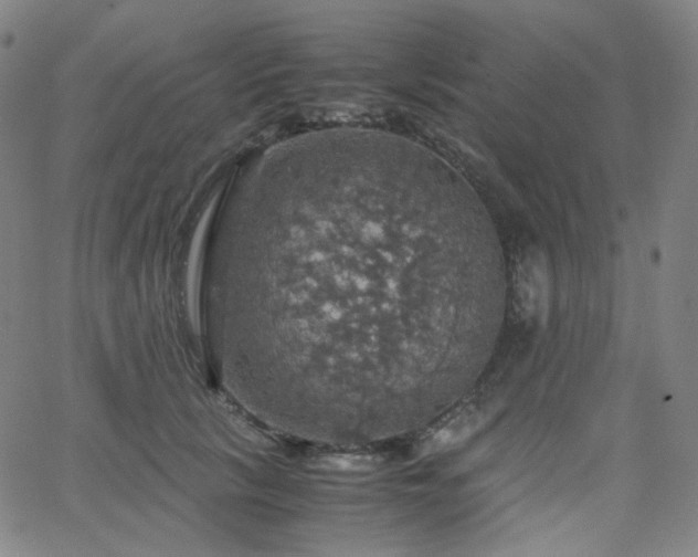 X0000063460657200601201247