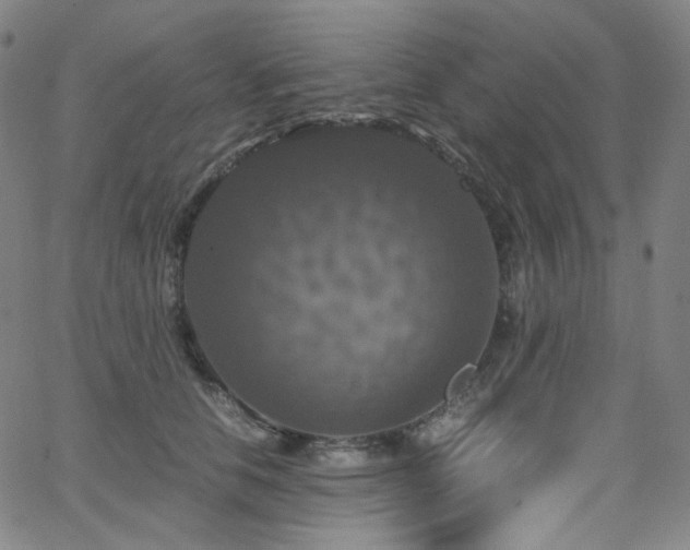 X0000063460658200601201247