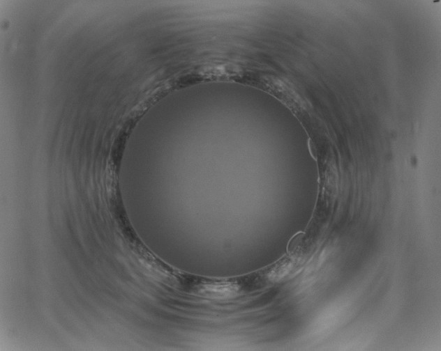 X0000063460659200601201247