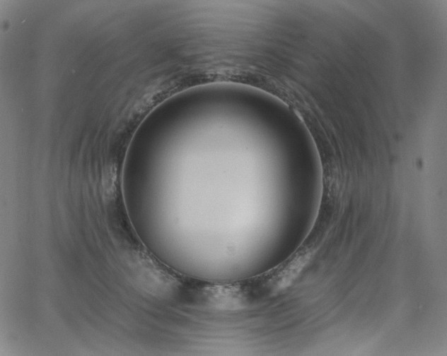 X0000063460660200601201247