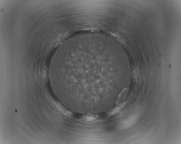 X0000063460662200601201247