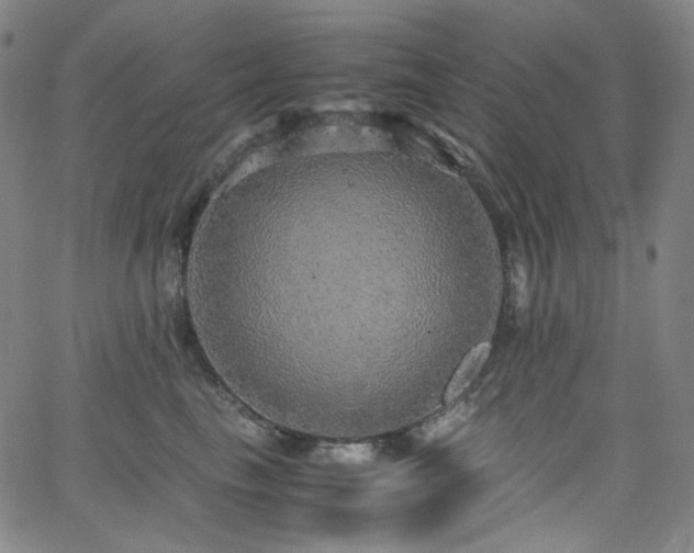 X0000063460665200601201247