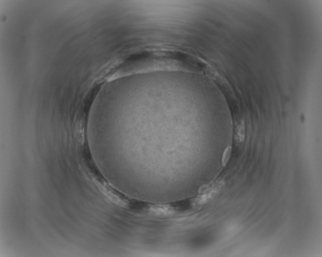 X0000063460666200601201247