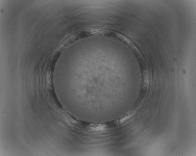 X0000063460667200601201247