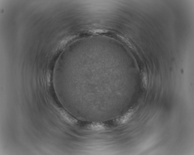 X0000063460668200601201247