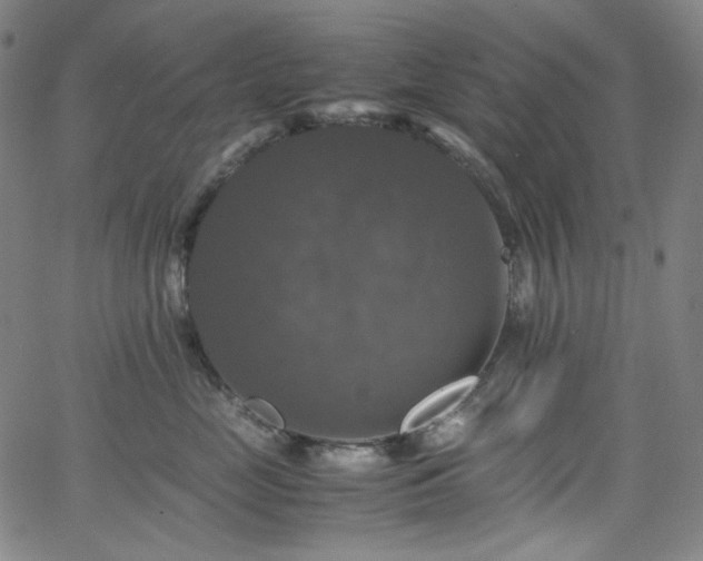 X0000063460669200601201247