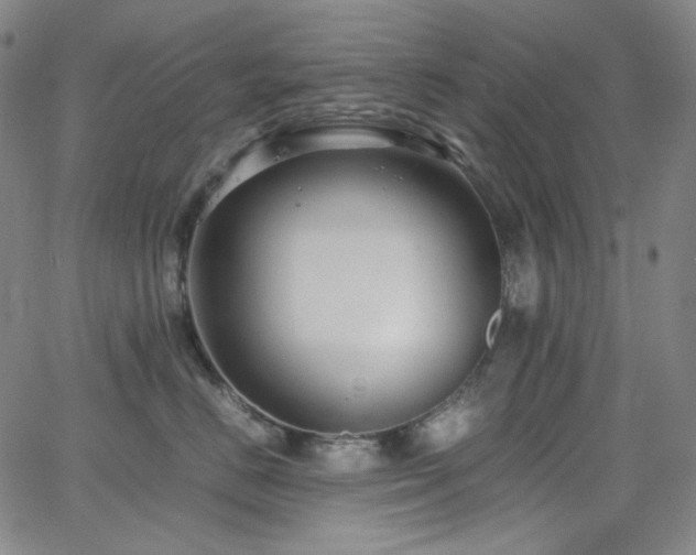 X0000063460670200601201247