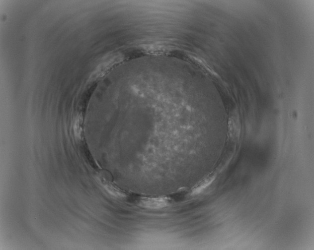 X0000063460671200601201247