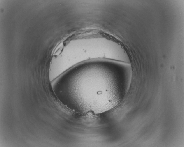 X0000063460672200601201247