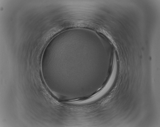 X0000063460673200601201246