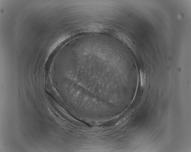 X0000063460675200601201246