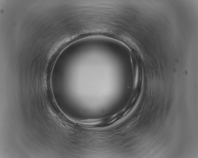 X0000063460676200601201246