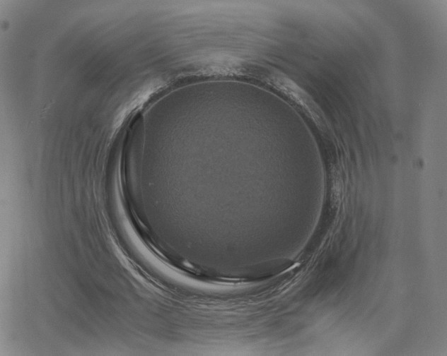 X0000063460677200601201246