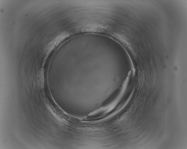 X0000063460678200601201246