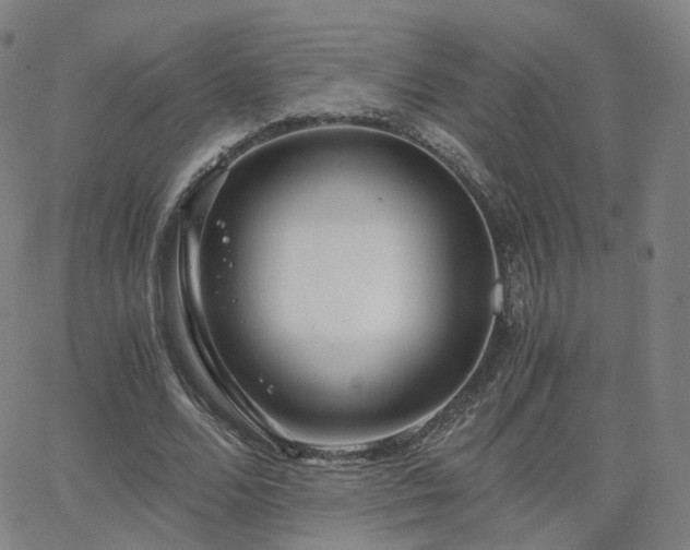 X0000063460680200601201246