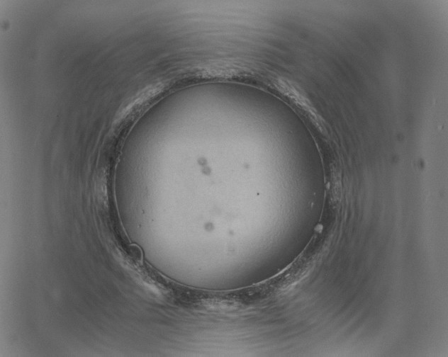 X0000063460681200601201246