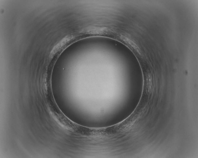 X0000063460682200601201246