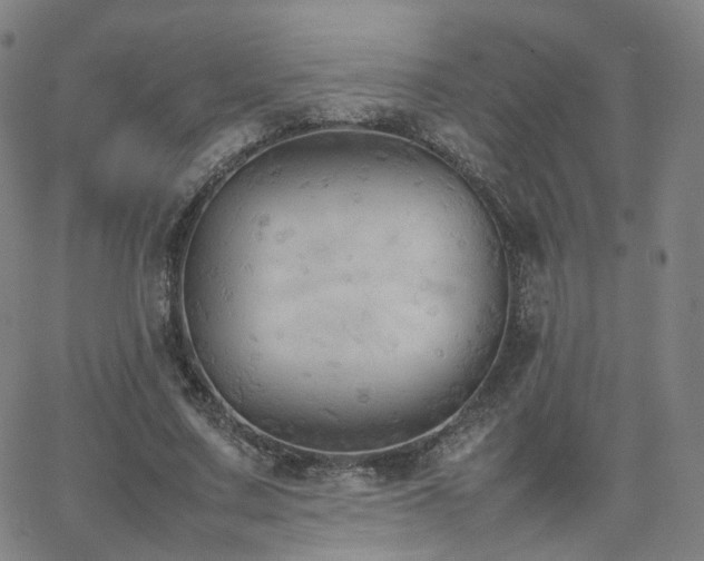 X0000063460683200601201246