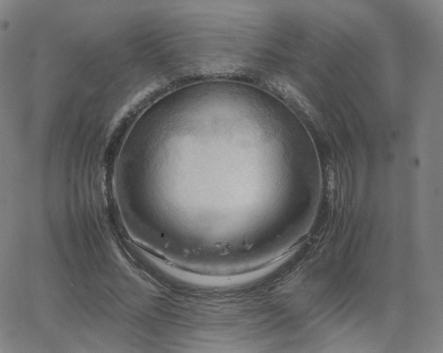 X0000063460684200601201246