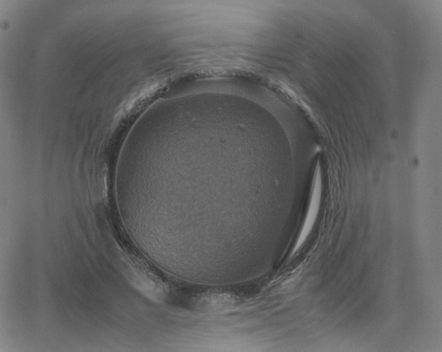 X0000063460685200601201246