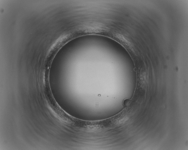 X0000063460686200601201246