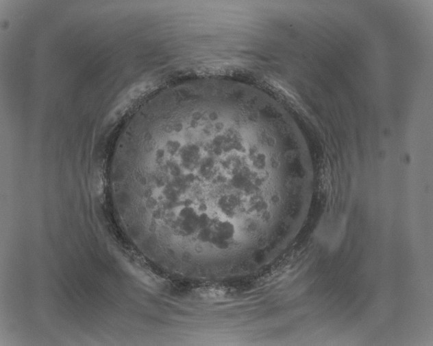 X0000063460687200601201246