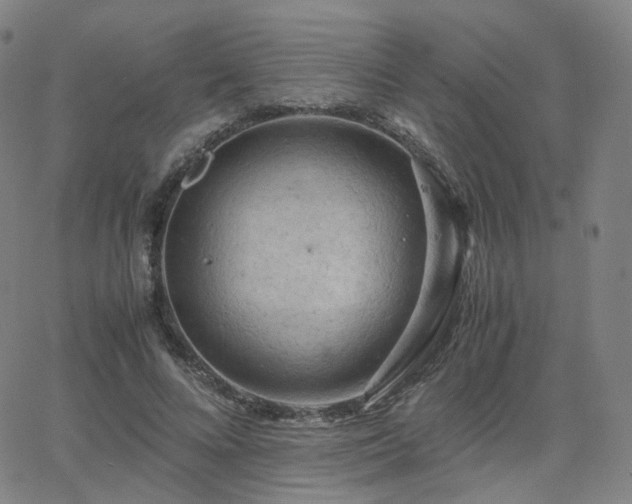 X0000063460688200601201246