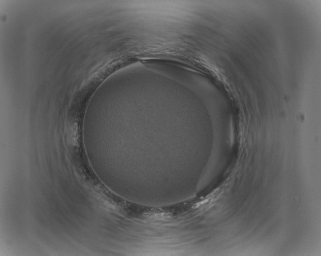 X0000063460689200601201246