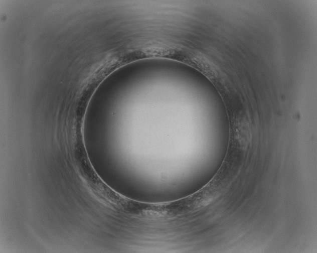 X0000063460690200601201246