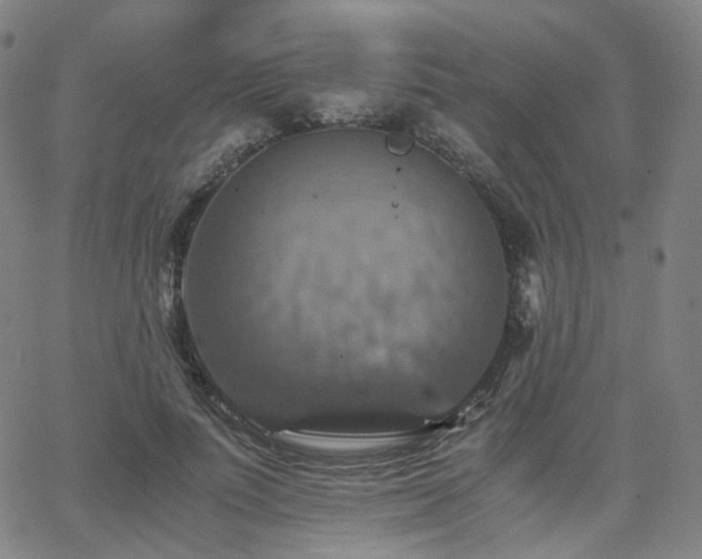 X0000063460691200601201246