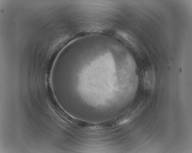 X0000063460692200601201246