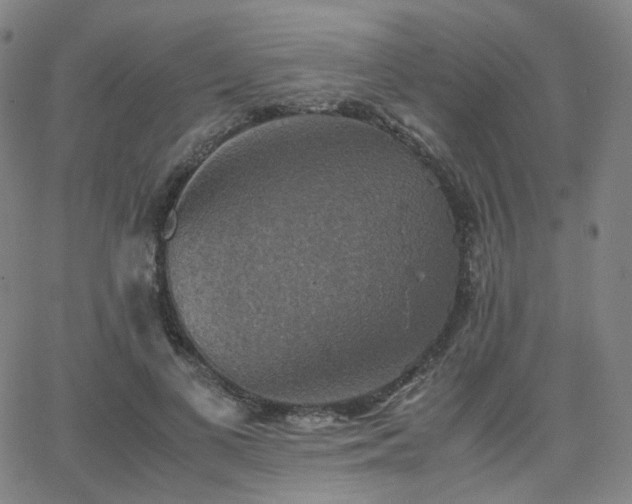 X0000063460693200601201246