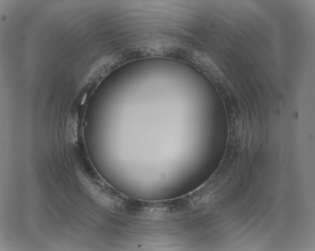 X0000063460694200601201246