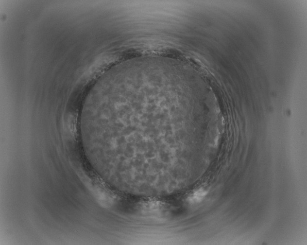 X0000063460695200601201246