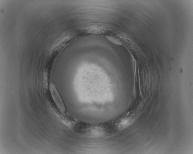 X0000063460696200601201246