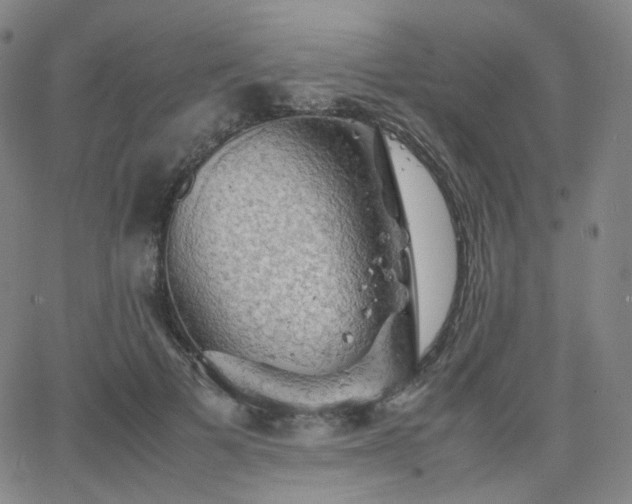 X0000063460697200601201246