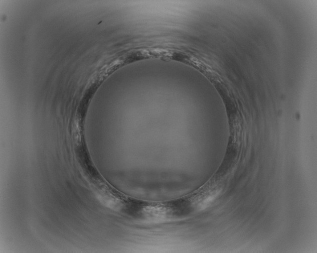 X0000063460699200601201246