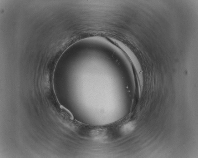 X0000063460700200601201246