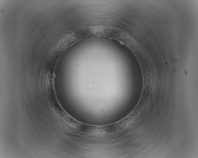 X0000063460702200601201246