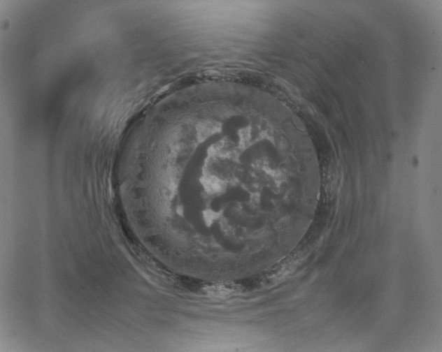 X0000063460703200601201246