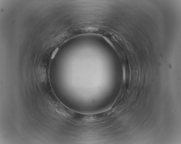 X0000063460704200601201246