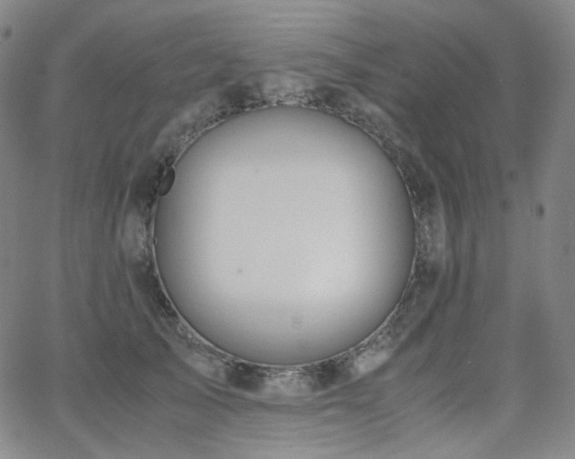 X0000063460705200601201246