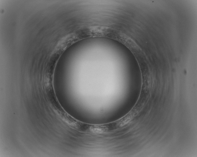 X0000063460706200601201246