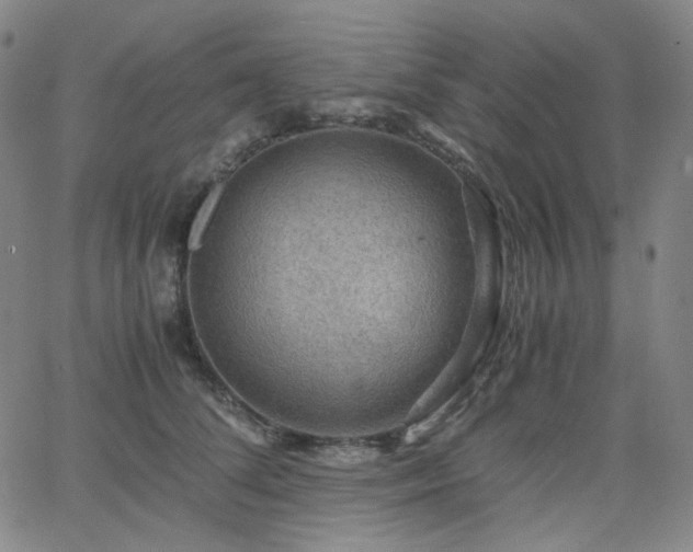 X0000063460708200601201246