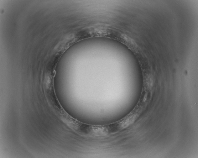 X0000063460709200601201246