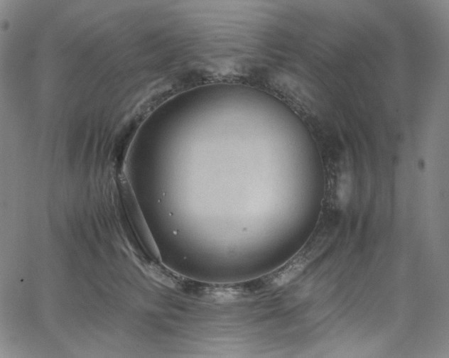 X0000063460710200601201246