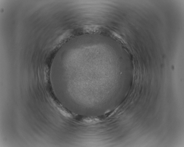 X0000063460712200601201246