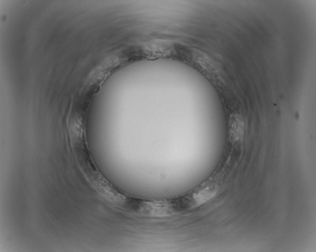 X0000063460713200601201246