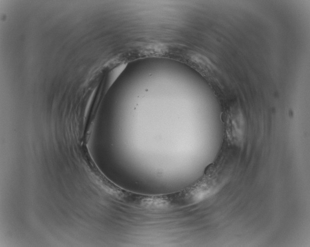 X0000063460714200601201246