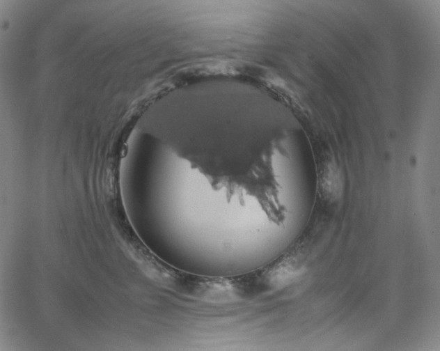 X0000063460715200601201246